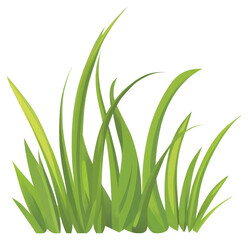 PNG Grass illustration plant green.