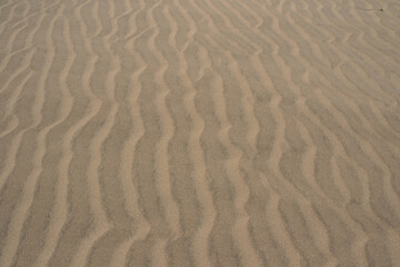 Huellas del viento