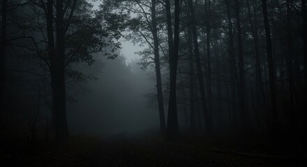 Fototapeta premium Dark, spooky woods shrouded in thick, silent mist under a sliver of pale moonlight, emphasizing the quiet, mysterious nature of the wilderness ,silent ,moonlit ,wilderness