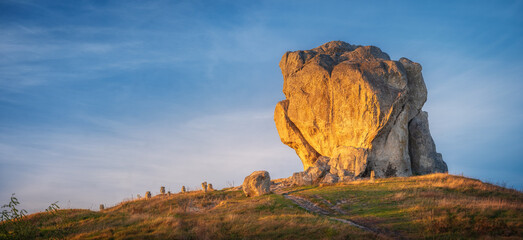 Fototapety na wymiar - Fototapeta24.pl