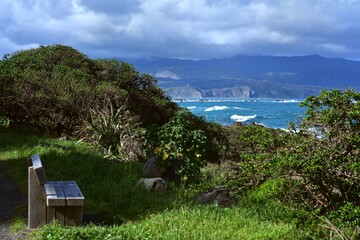 Breakers rollling in onto Island Bay
