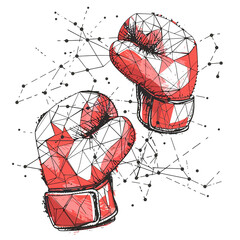 Abstract Origami Boxing Gloves Vector