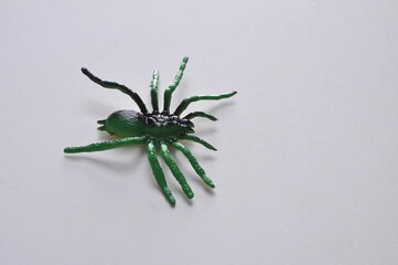 inseto aranha 