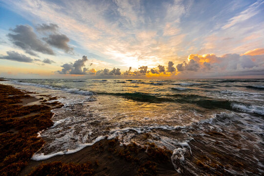 Sunrise Over the Atlantic Ocean with Seaweed on the Shore, Boca Raton, Florida
