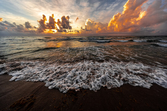 Sunrise Over the Atlantic Ocean with Seaweed on the Shore, Boca Raton, Florida