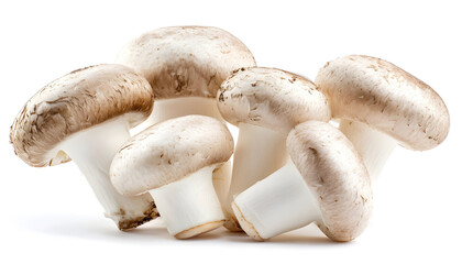 Group of white button mushrooms isolated