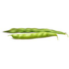 Two Fresh Green String Beans Pods Isolated on a White Background With Natural Lighting