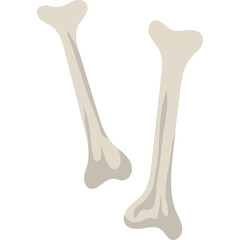 Two Light Beige Colored Animal Bones Isolated on a Transparent Background Representing Veterinary Or Halloween Themes