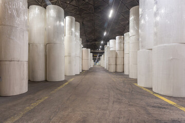 Jumbo rolls in a paper factory workshop.
