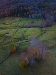 Aerial drone view of the autumn landscape in the Pasiegos Valleys of the Burgos Mountains, Las Merindades, Burgos, Castile and León, Spain, Europe