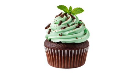 Delicious chocolate cupcake with mint frosting and chocolate sprinkles, a sweet treat for any occasion