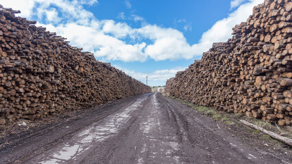 A wood raw material warehouse for paper production.