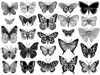 A diverse collection of hand drawn black and white butterfly illustrations.