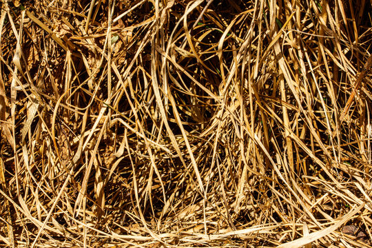texturas