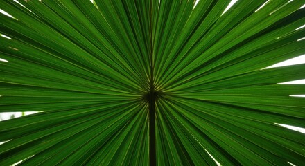Obraz premium Detailed close-up of vibrant green tropical palm leaf surface creating a dynamic, organic, and highly textured background pattern ,fresh, natural, lush