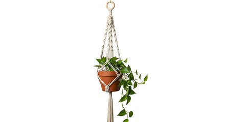 A stylish, cream-colored macrame plant holder suspends a terracotta pot with a trailing green plant on a black background.