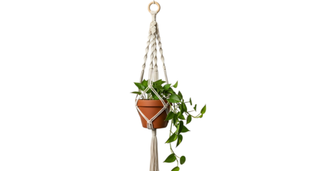 A stylish, cream-colored macrame plant holder suspends a terracotta pot with a trailing green plant on a black background.