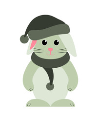 bunny with cap and scarf isolated on white background