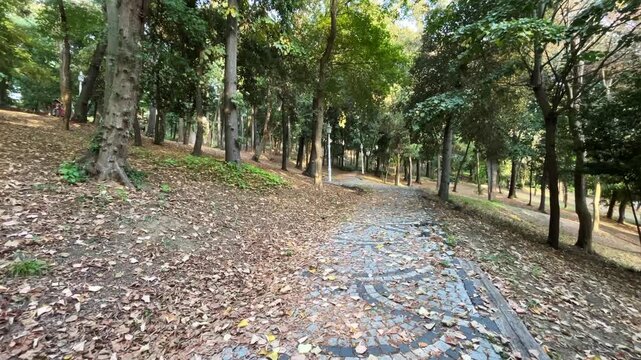 Beautiful pathway and leaf fall at Yildiz Park (Turkish: Yildiz Parki) Besiktas District in Istanbul Turkey. (4K video)