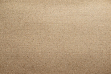 Neutral Kraft Cardboard Texture Background for Design Projects and Packaging Mockups
