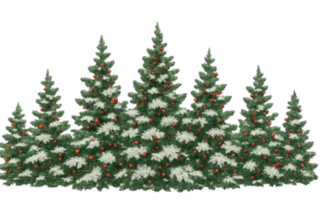 Christmas trees decorated with red baubles standing in a snowy winter forest scene, transparent background