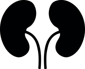 Black Silhouette of Human Kidneys with Ureters