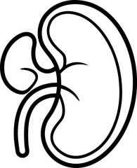 Detailed Kidney Anatomy with Internal Sections Line Art