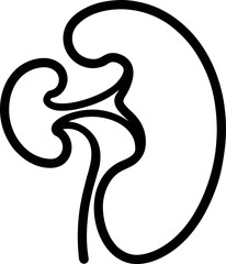 Human Kidney Internal Structure Line Diagram