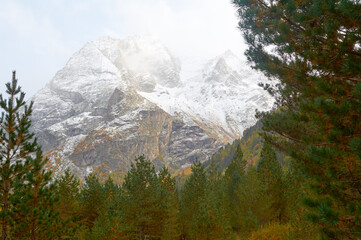 Autumn forest frames a view of snowy mountain peaks where golden foliage contrasts with white summits.
