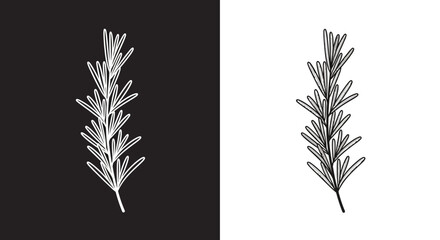 Minimalist Rosemary Herb Vector Illustration in Black and White Line Art Style