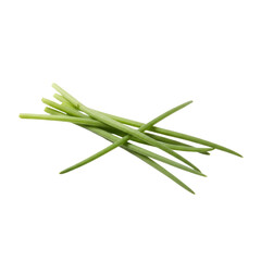 Fototapeta premium Aromatic fresh chives isolated against a dark backdrop showcasing culinary herb photography