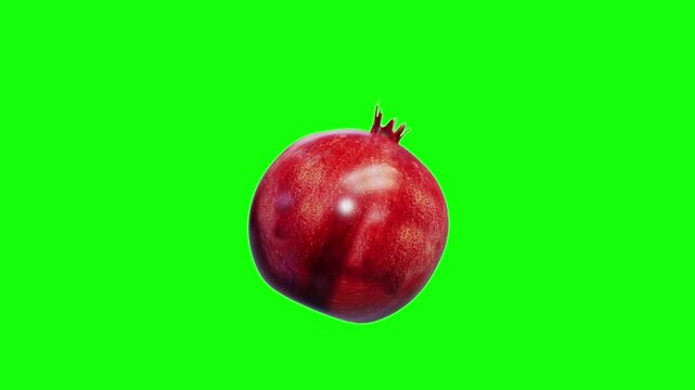 3d fresh Red pomegranate fruit spinning loop isolated on green screen, 4k  vibrant, vivid ripe Pomegranate rotation illuminated by soft studio lighting animation on chroma key, for health, gardening