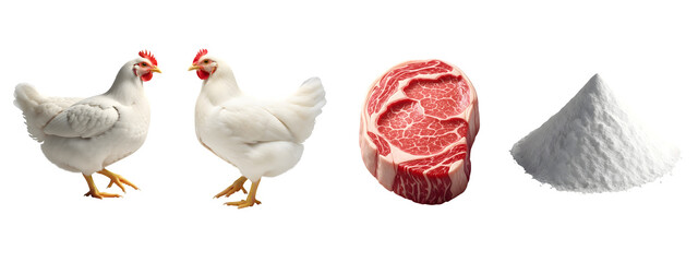 Raw beef steak, whole chickens, and white salt pile on background isolated on transparent background