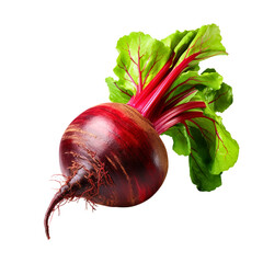 Fresh beetroot isolated on transparent background
