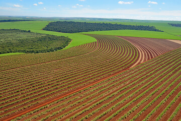 Vista a&eacute;rea de &aacute;rea de cultivo
