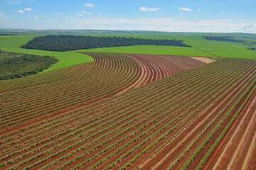 Vista a&eacute;rea de &aacute;rea de cultivo