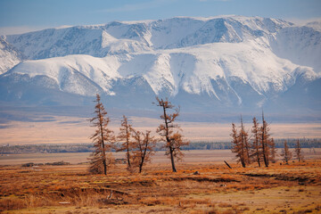 Scenic snow-capped mountains and autumn landscape in Altai, Siberia