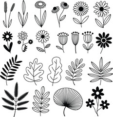 A collection of various hand drawn botanical elements including flowers and leaves in black and white style