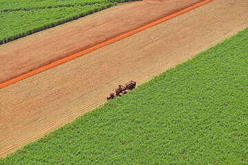 Colheita em canavial