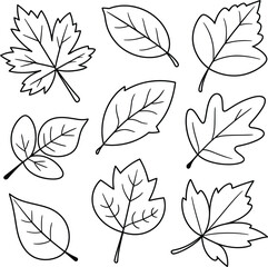 Collection of nine different leaf outlines in a square arrangement on a white background