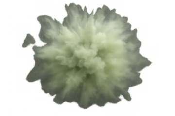 Green powder exploding in a dense cloud forming a smoke burst effect. Isolated item on a transparent background
