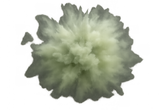 Green powder exploding in a dense cloud forming a smoke burst effect. Isolated item on a transparent background