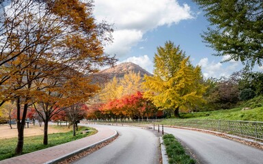 Fototapeta premium 고창 선운사로 가는 가을 단풍길