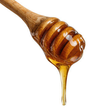 Honey dipper with dripping honey isolated