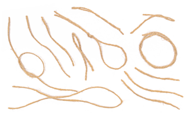 String, set rope isolated on white, top view
