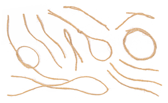 String, set rope isolated on white, top view
