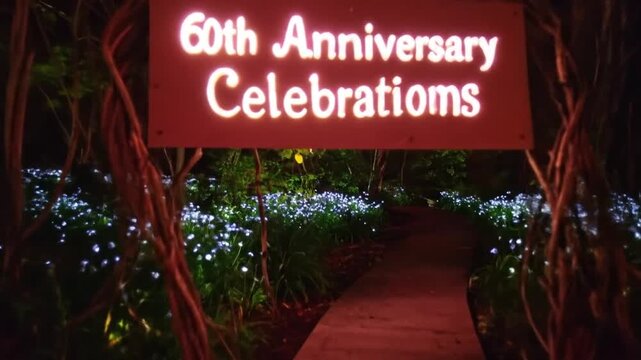 Magical 60th Anniversary Celebration: Illuminated Garden Path at Night