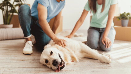 A couple sits on the floor of a cozy room, interacting with their playful golden retriever. Sunlight fills the space as they lovingly pet the dog, enjoying their time together.
