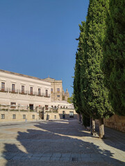 Obraz premium Quiet cobblestone plaza and palace, salamanca city, spain