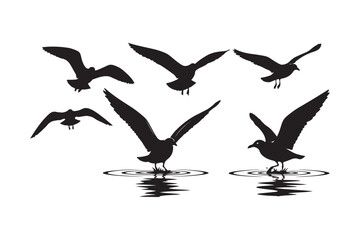 Silhouettes of seagulls in flight over water